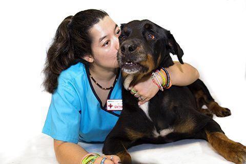 Broward Animal Hospital Photo