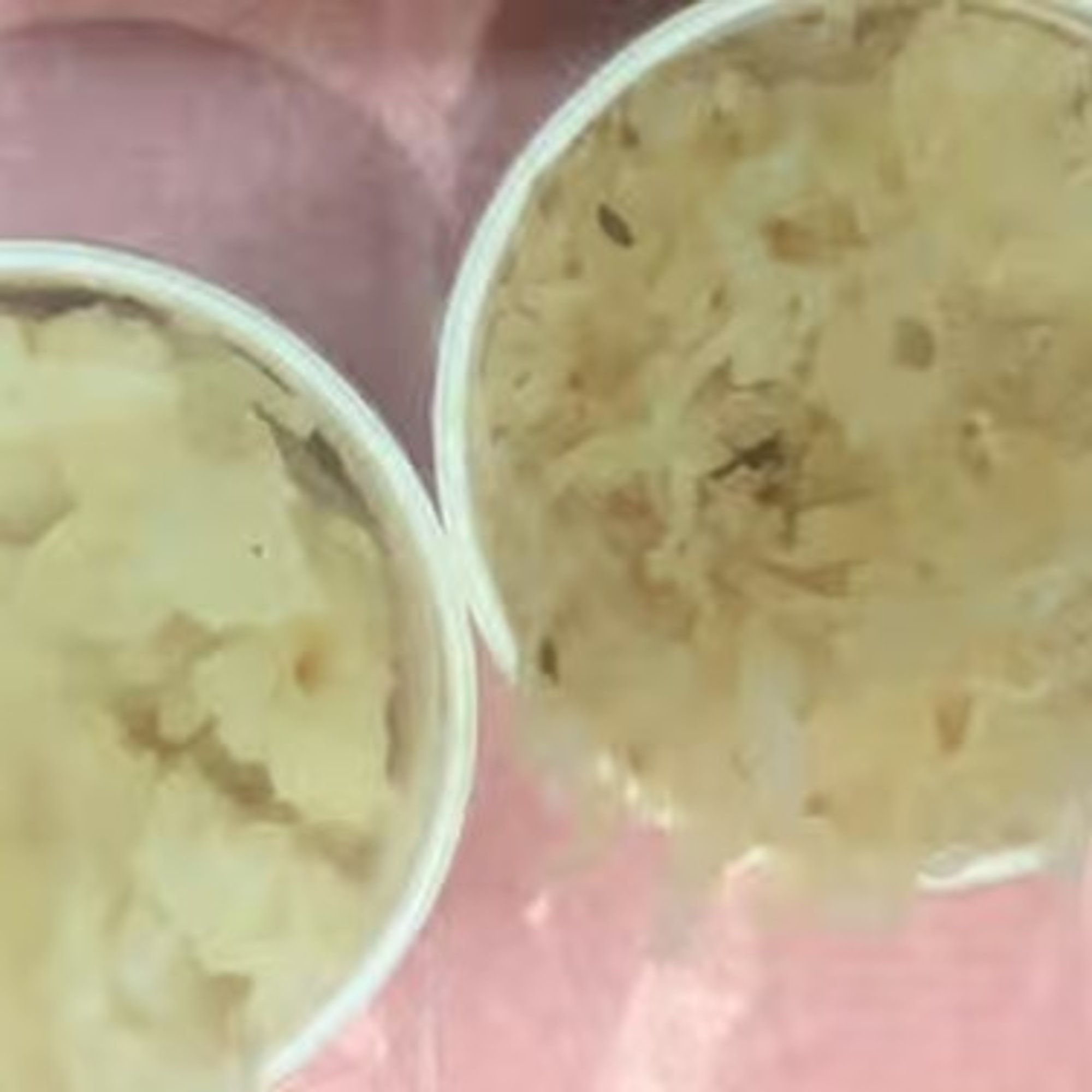 Sauerkraut