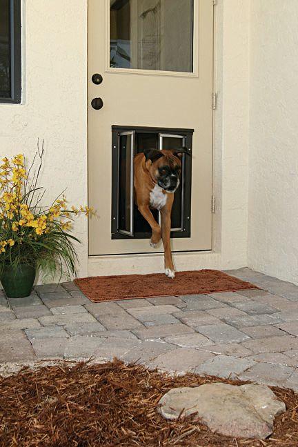 PlexiDor Dog Doors Photo
