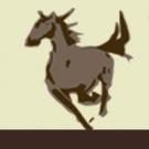 Baronne Veterinary Clinic Logo