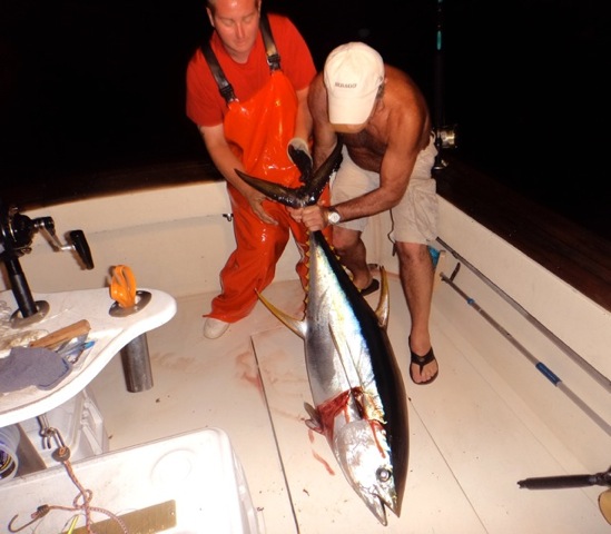 Images Captain Art's Fishing Charters
