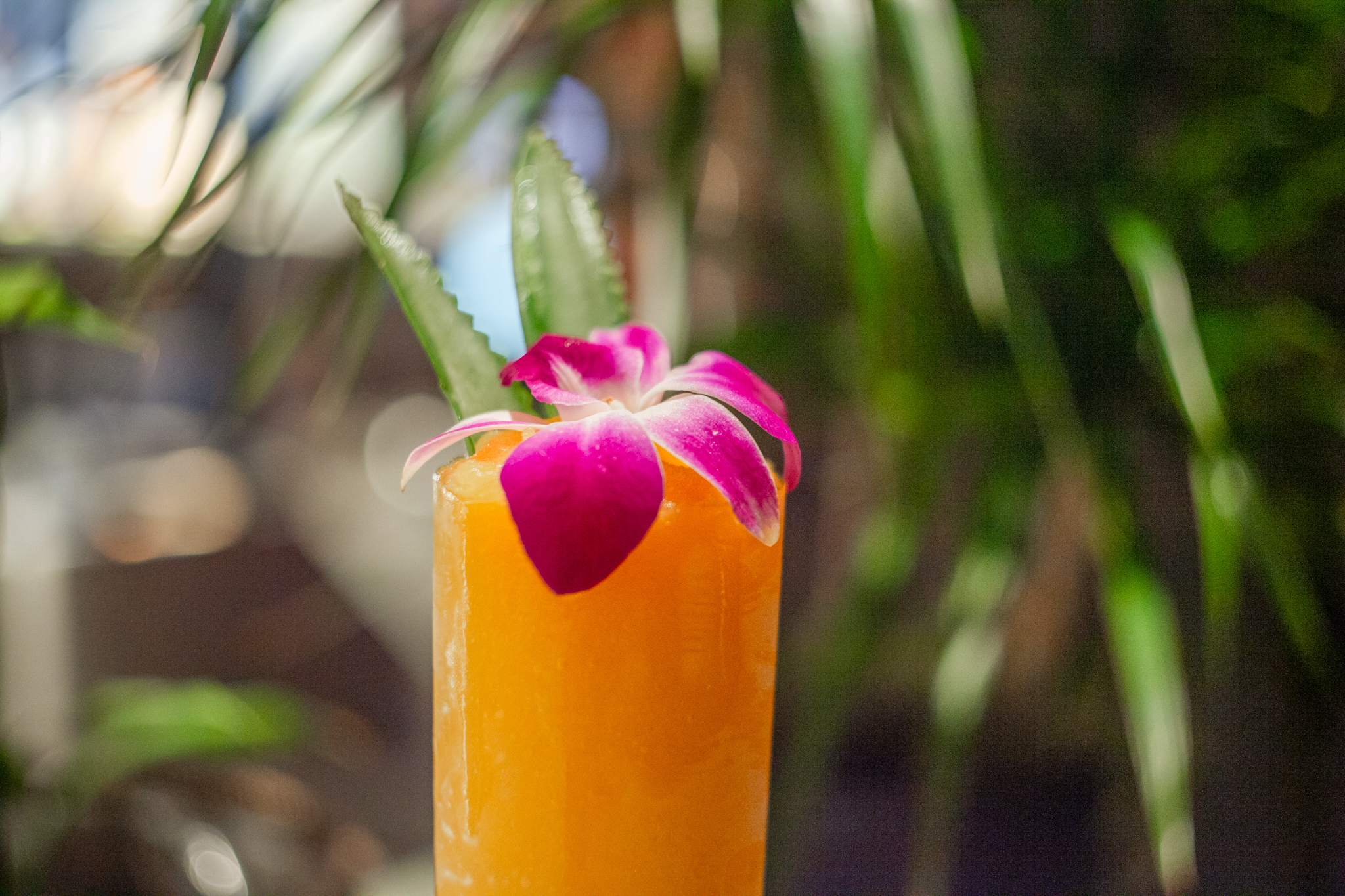 Frozen Mango Mai Tai