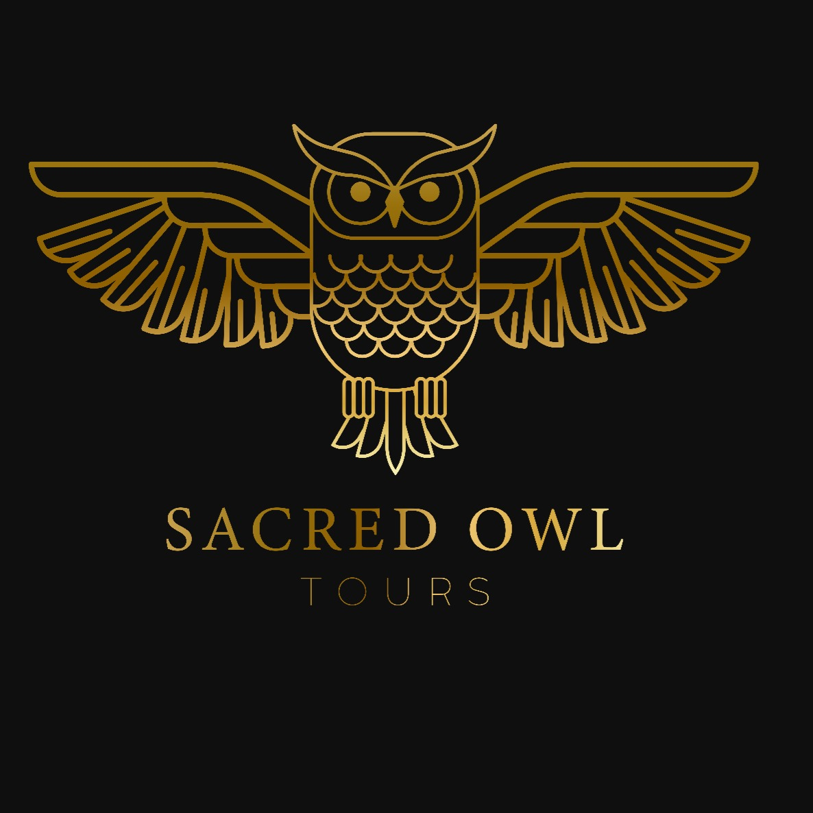 Sacred Owl Tours Cairns