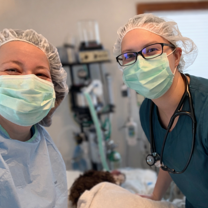 Kindred Soul Veterinary Services