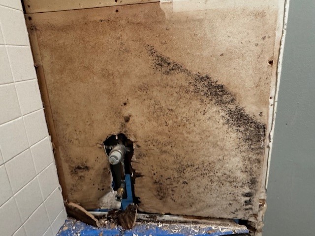 Treasure Coast Disaster Services Image