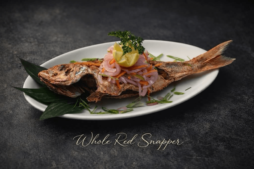 Whole Red Snapper