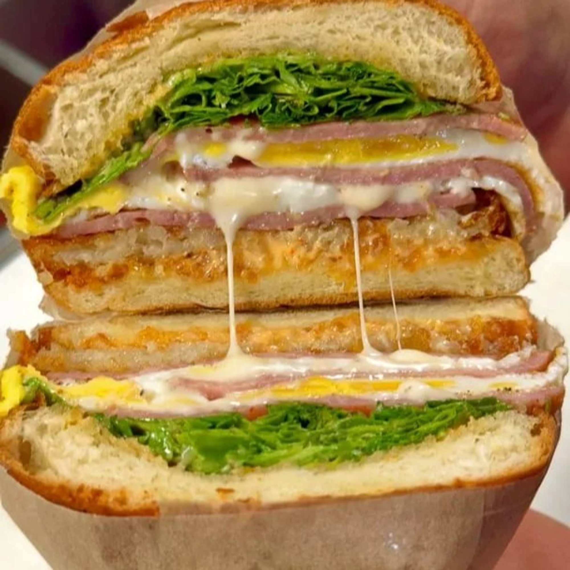 Jersey Sammy Sandwich