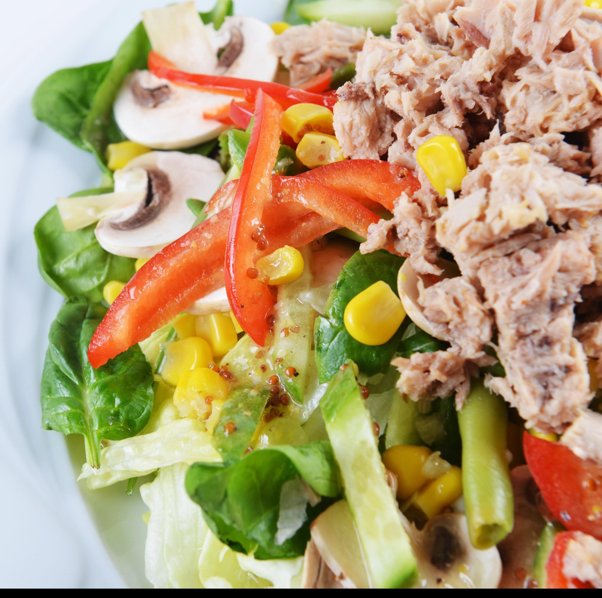 Low Fat Tuna (Bagel)