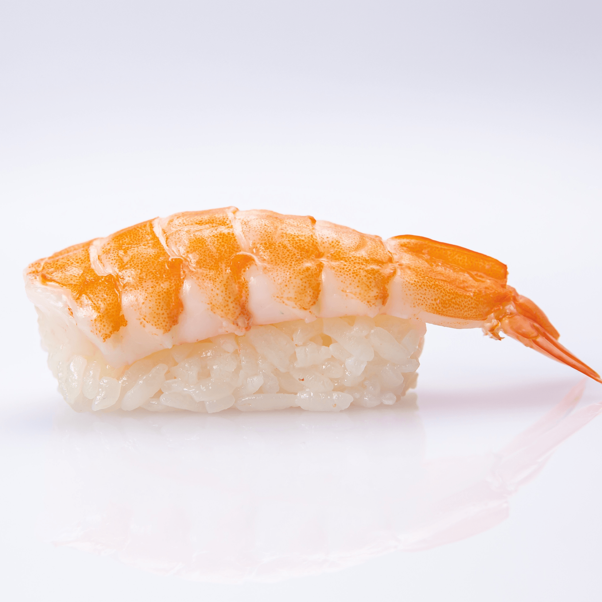 Shrimp Nigiri