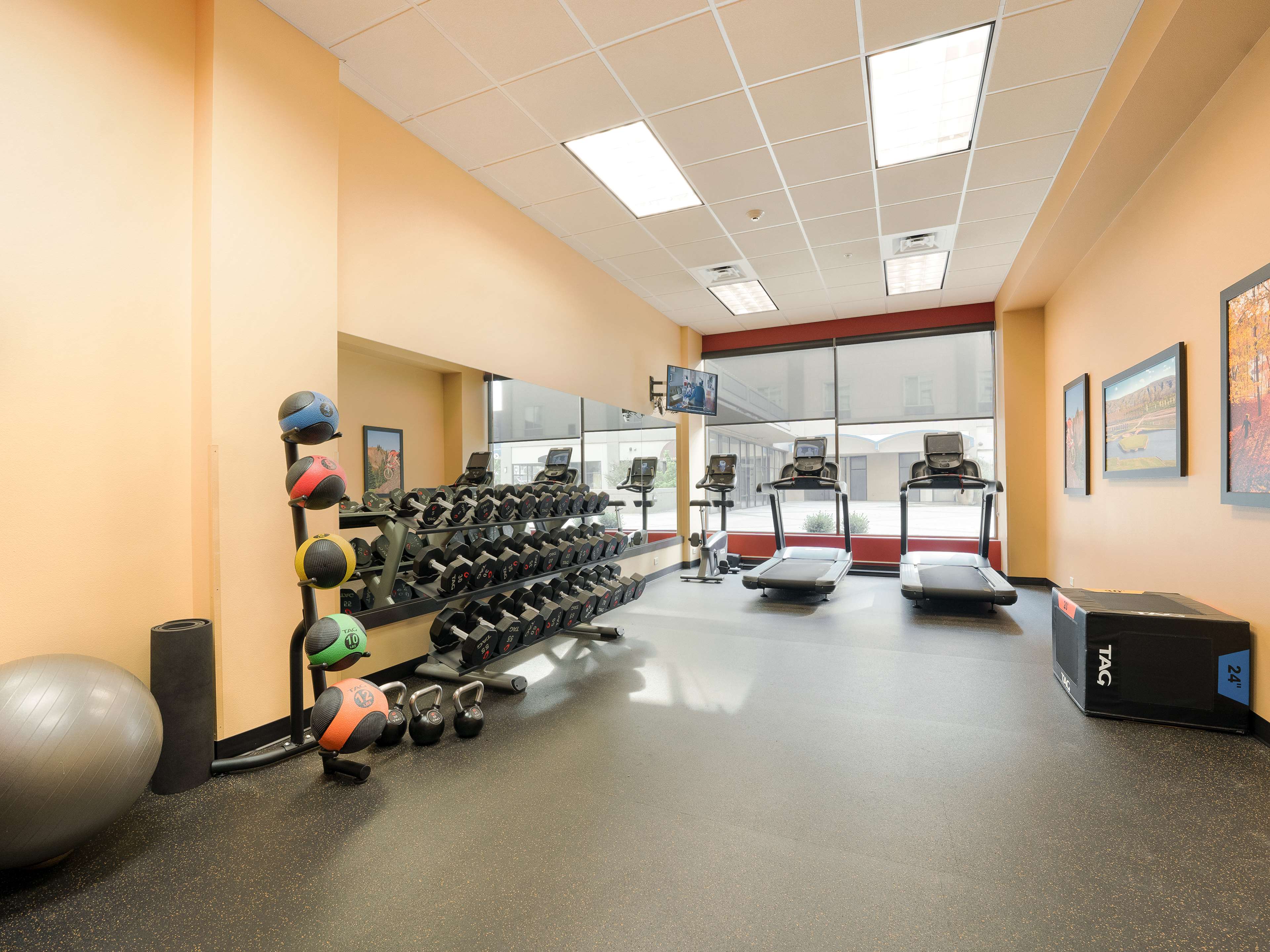 Health club  fitness center  gym