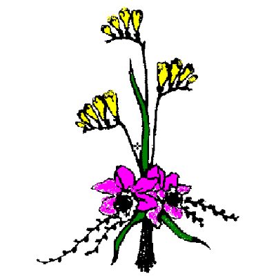Logo von Blumen Wünsche
