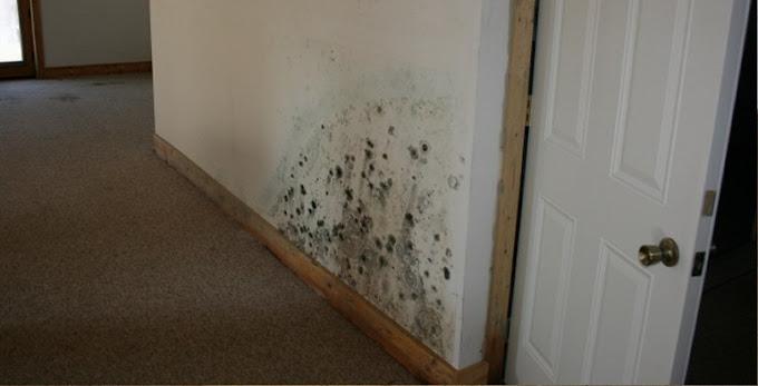 BlueWave Restorations Image