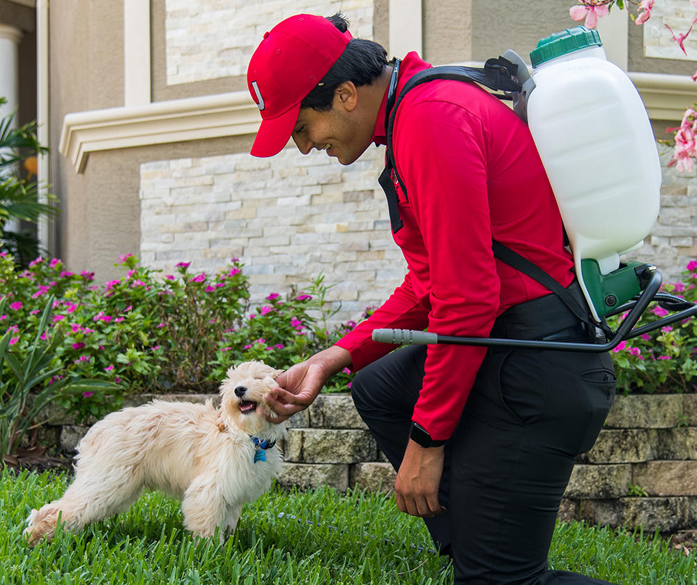 All U Need Pest Control Fort Myers Photo