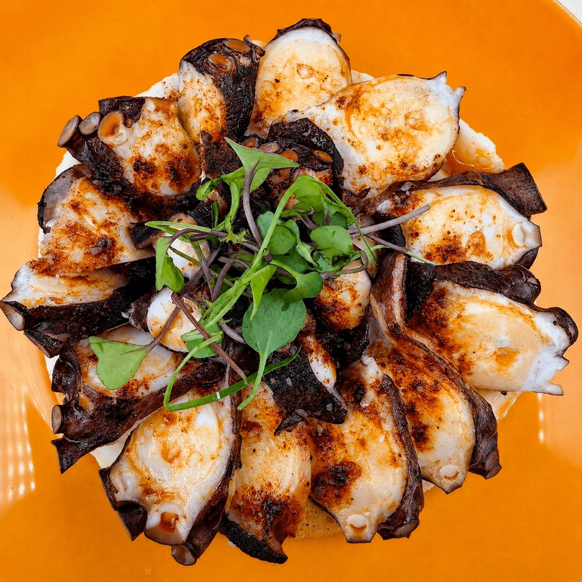 Grilled Octopus (Pulpo A La Gallega)