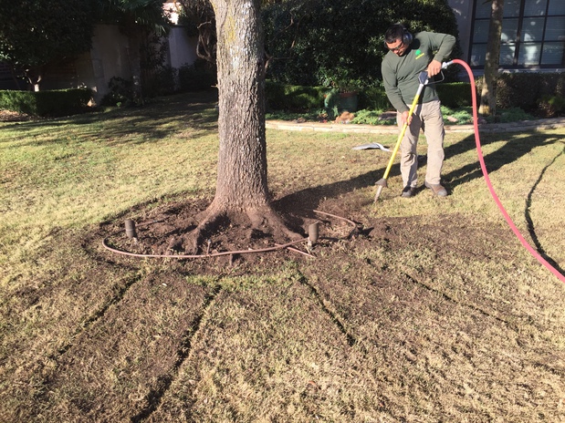 Images New Leaf Tree & Shrub Care