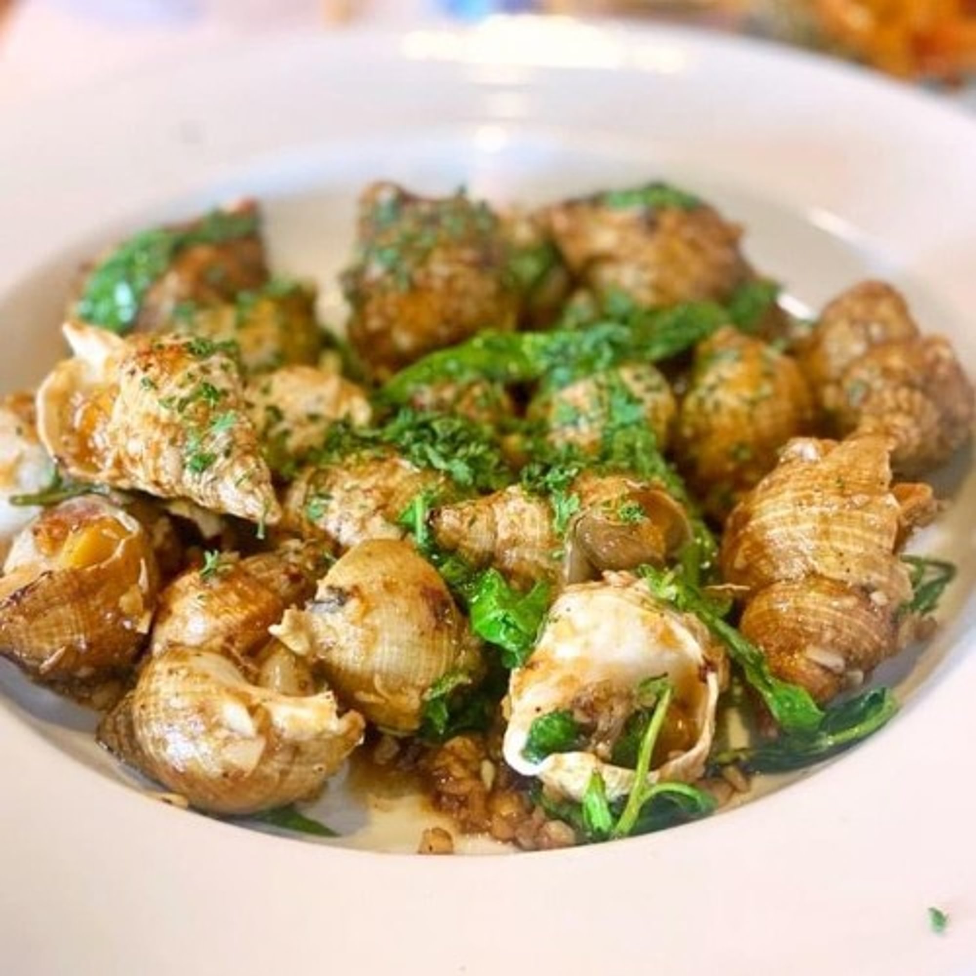Sauté Garlic Butter Escargot