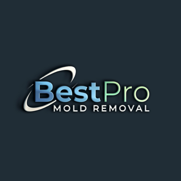 BestPro Mold Removal