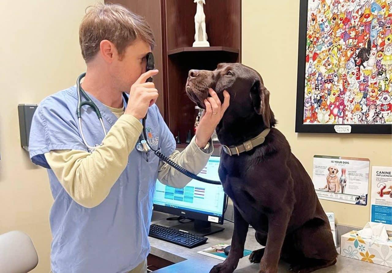 Walker Canine Care, LLC