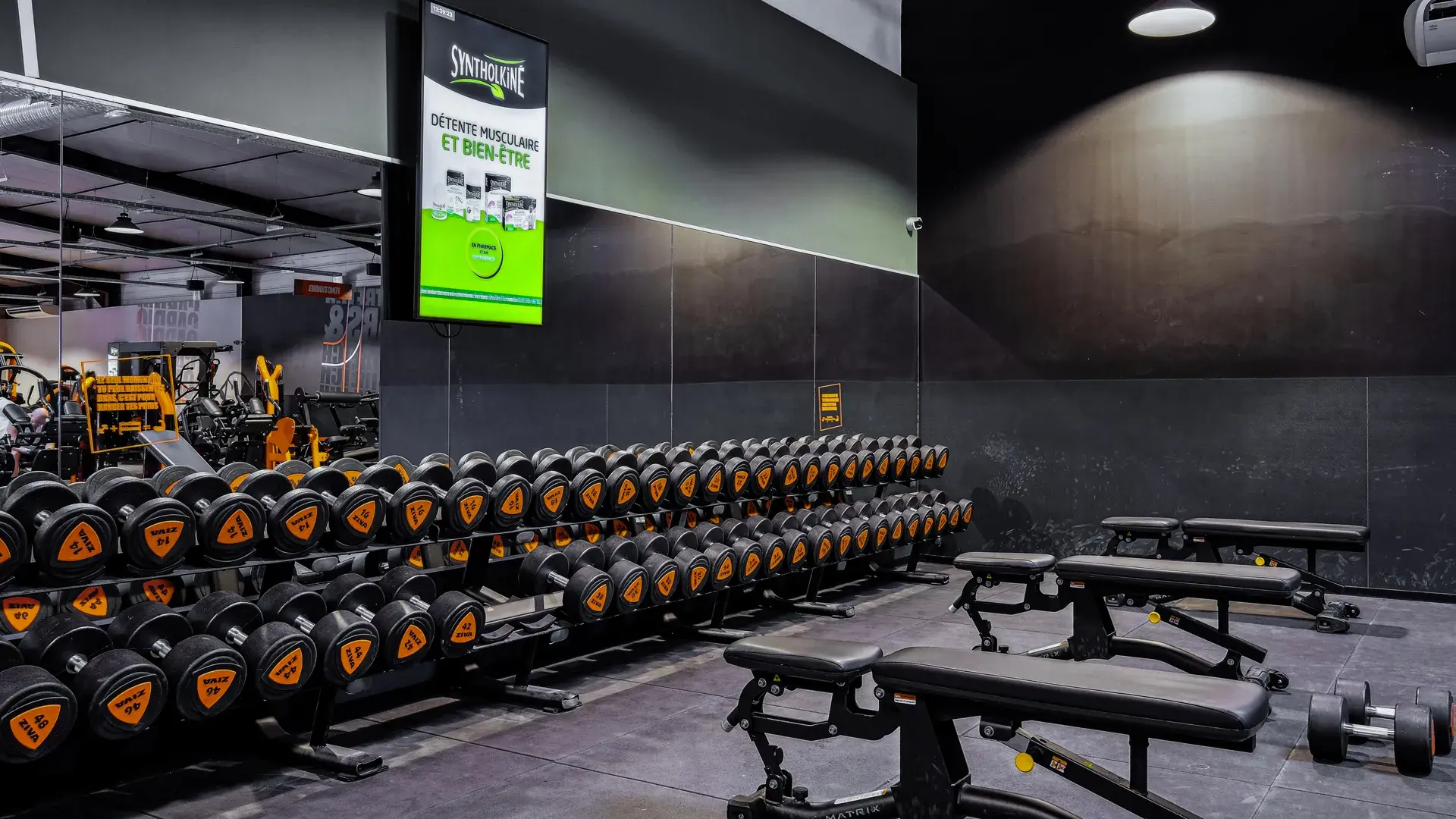 Miniature de la galerie