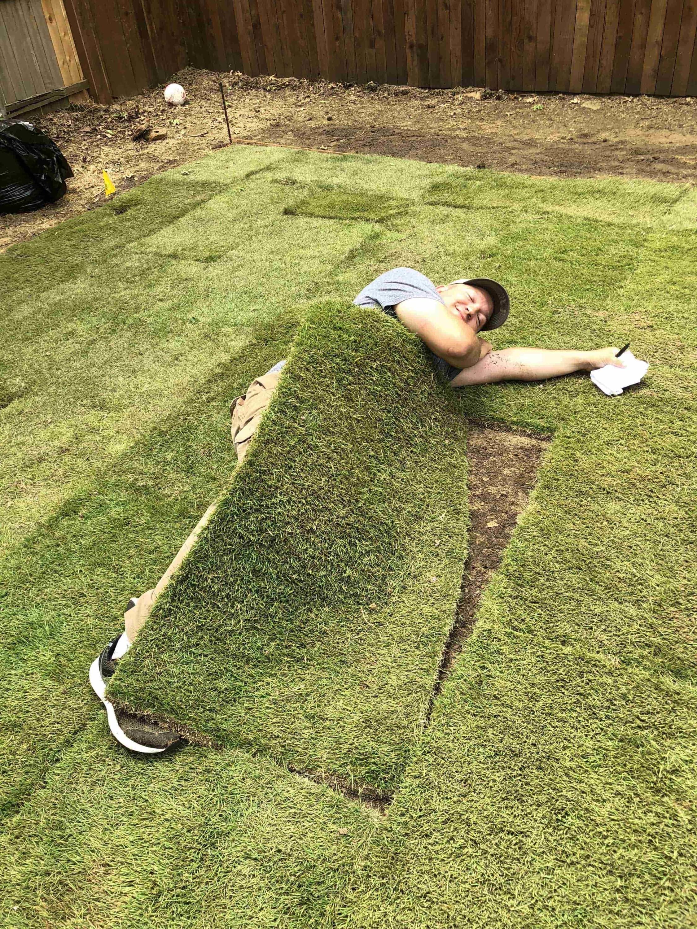 Zoysia Sod Photo