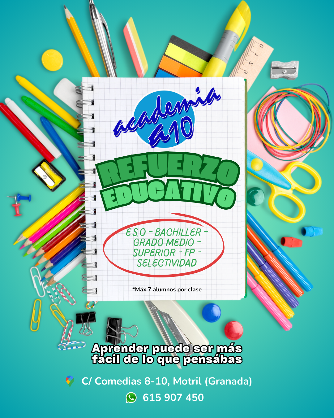 Galería en miniatura