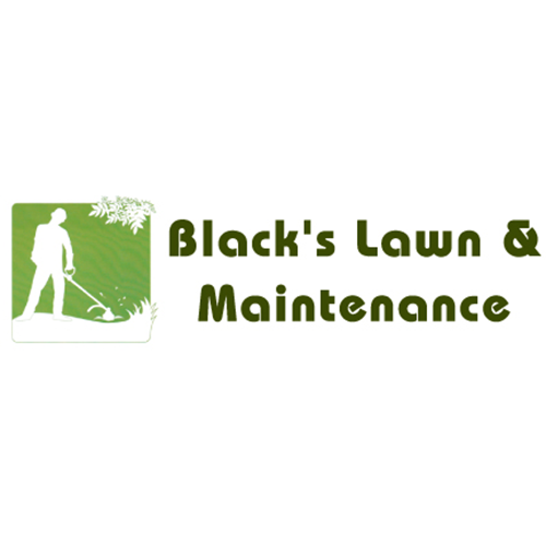 Black's Lawn & Maintenance Logo