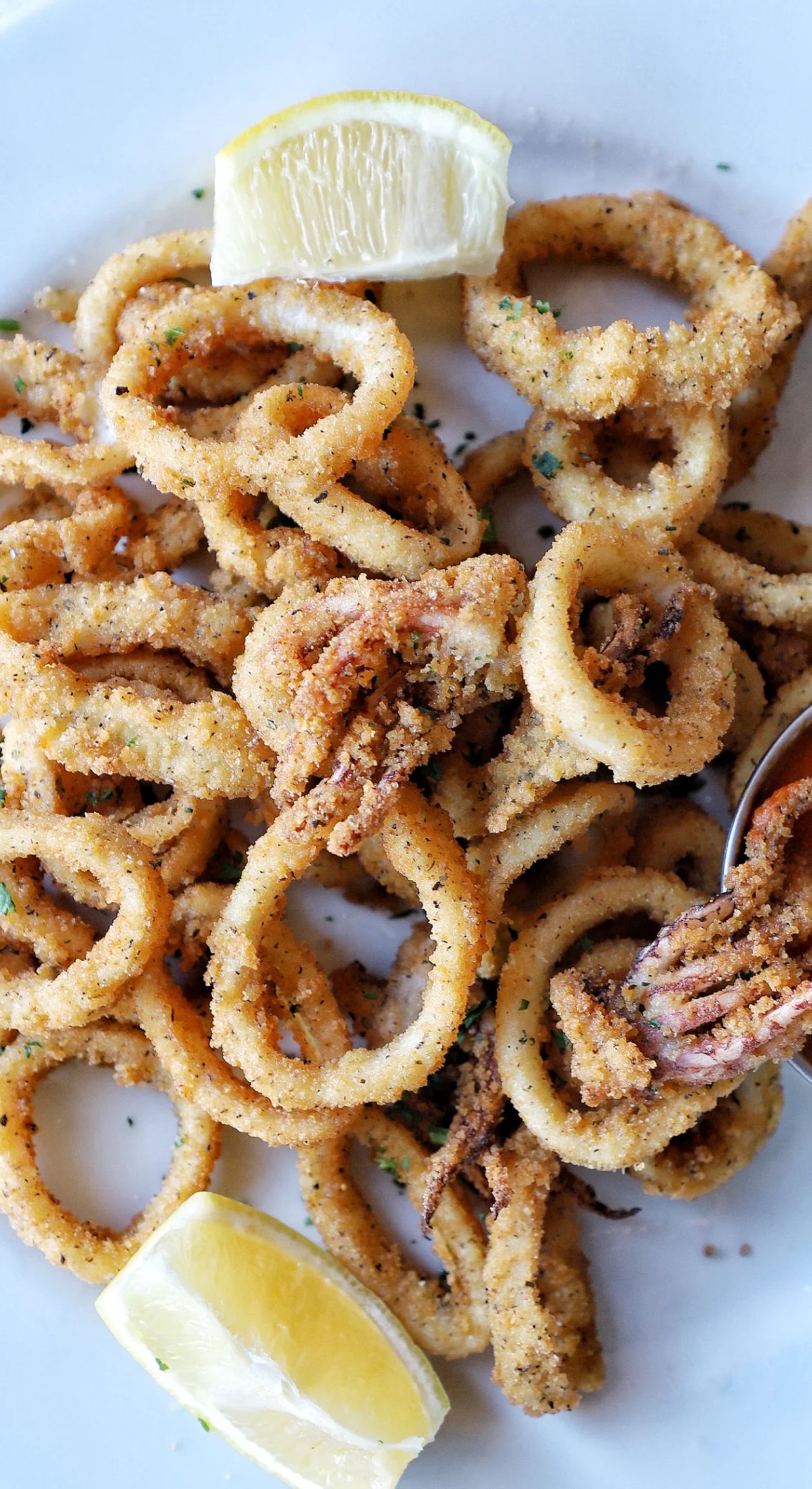 Fried Calamari