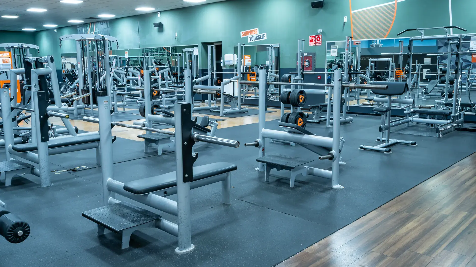 Galería de imágenes