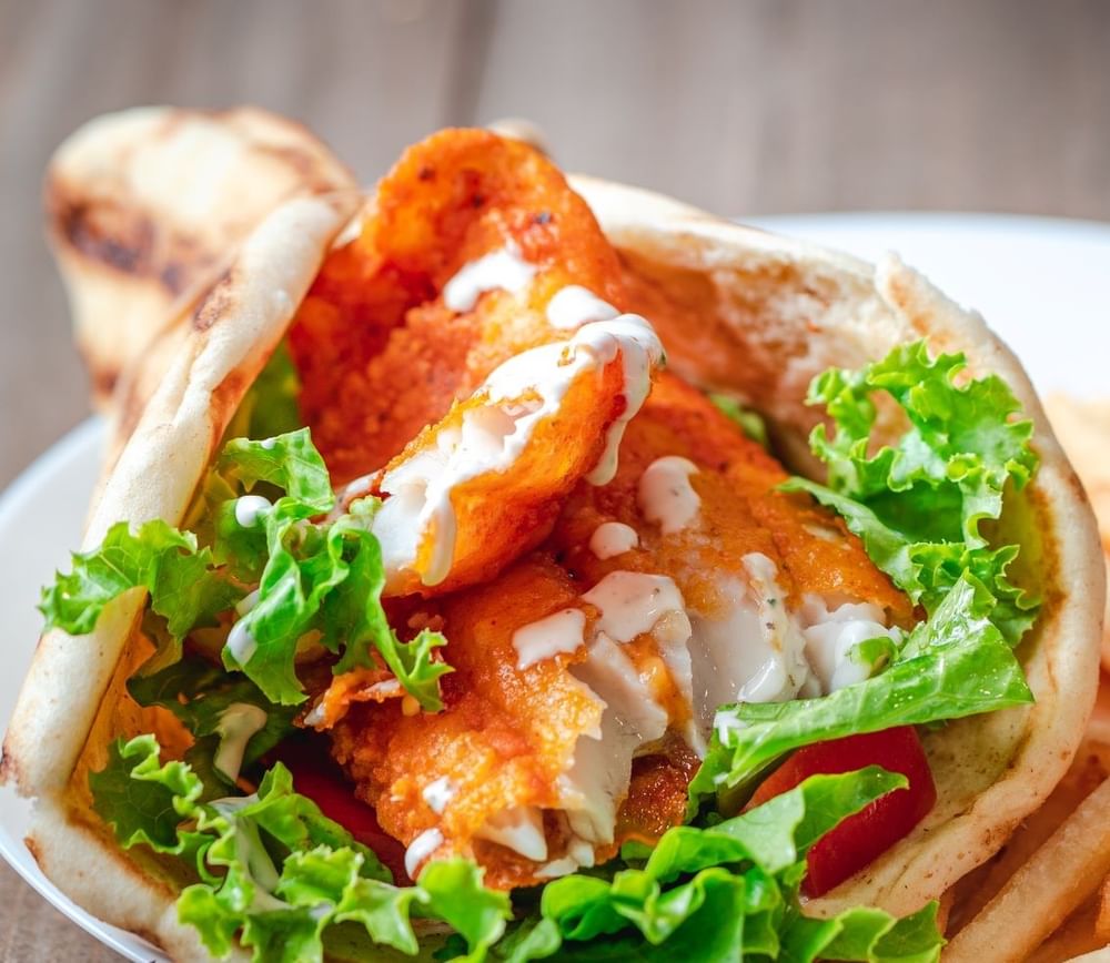 Fish Gyro Only