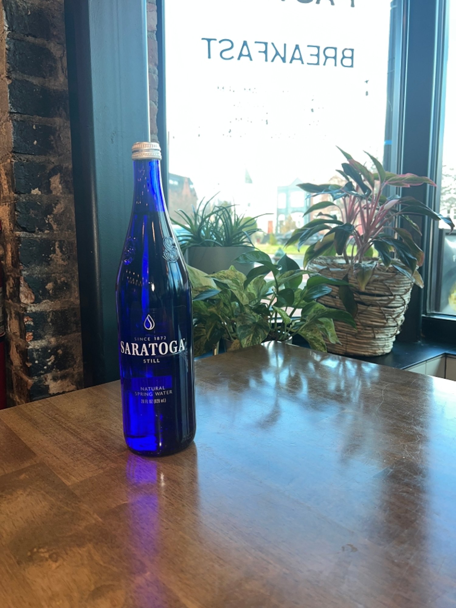 Saratoga Still Water 750mL