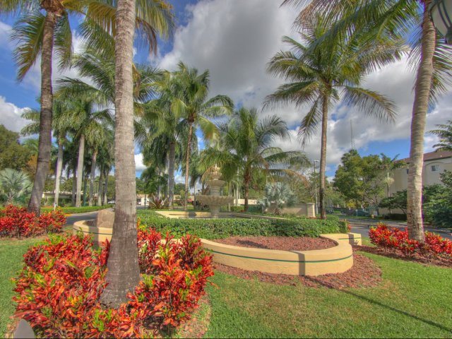 Polo Glen Image