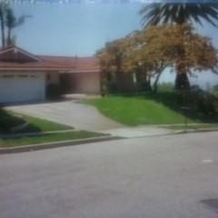 Josue’s Landscaping & Tree Service Photo