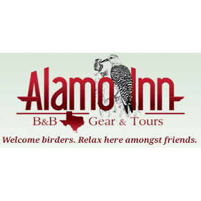 Alamo Inn B&B, Gear & Tours