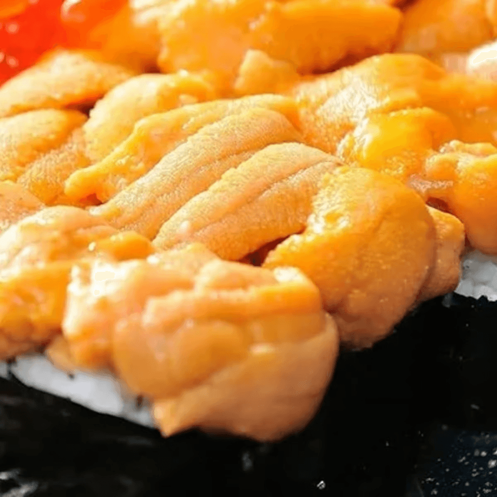 Sea Urchin (Uni)