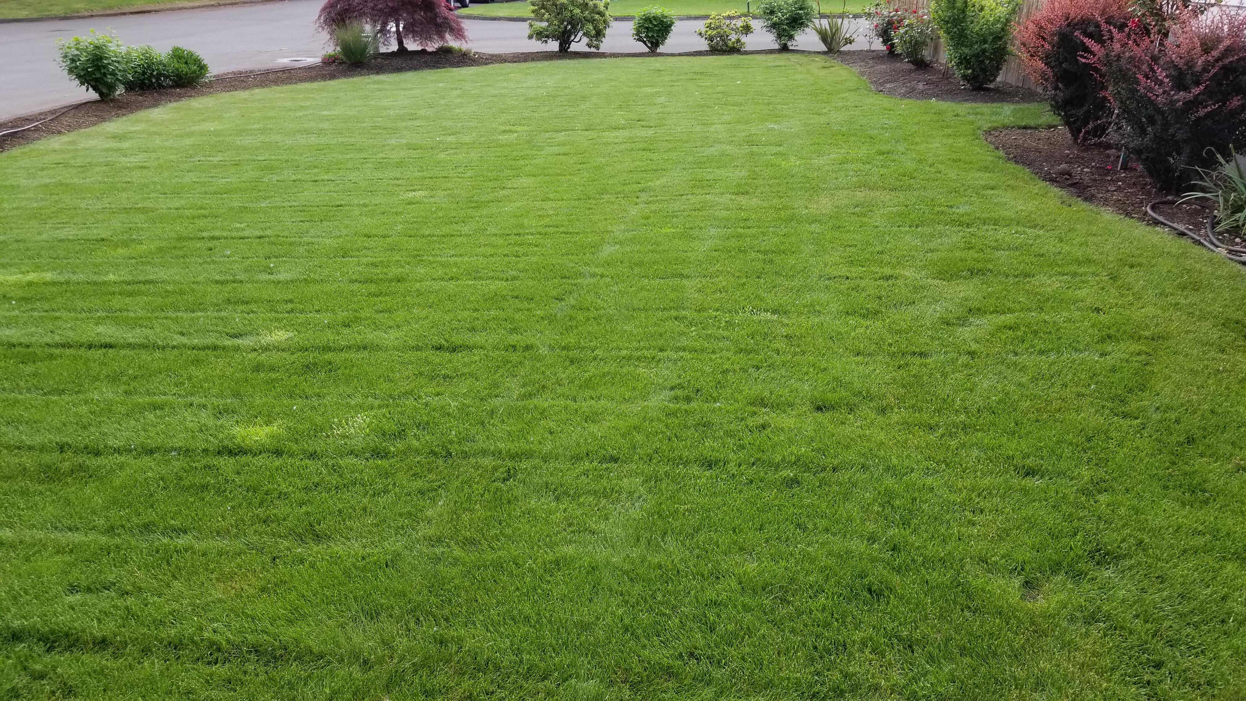 4 Elements Landscape &amp; Design Logo