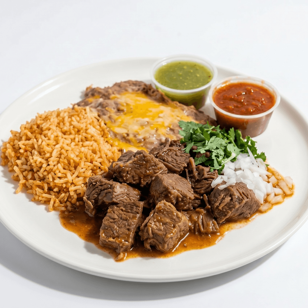 Birria Plate Combo