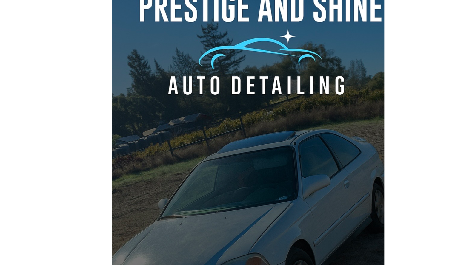 Prestige and shine auto detailing Logo
