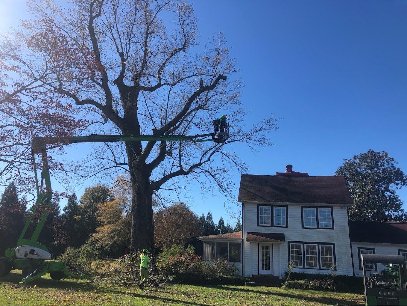 Branson's Tree Service Image