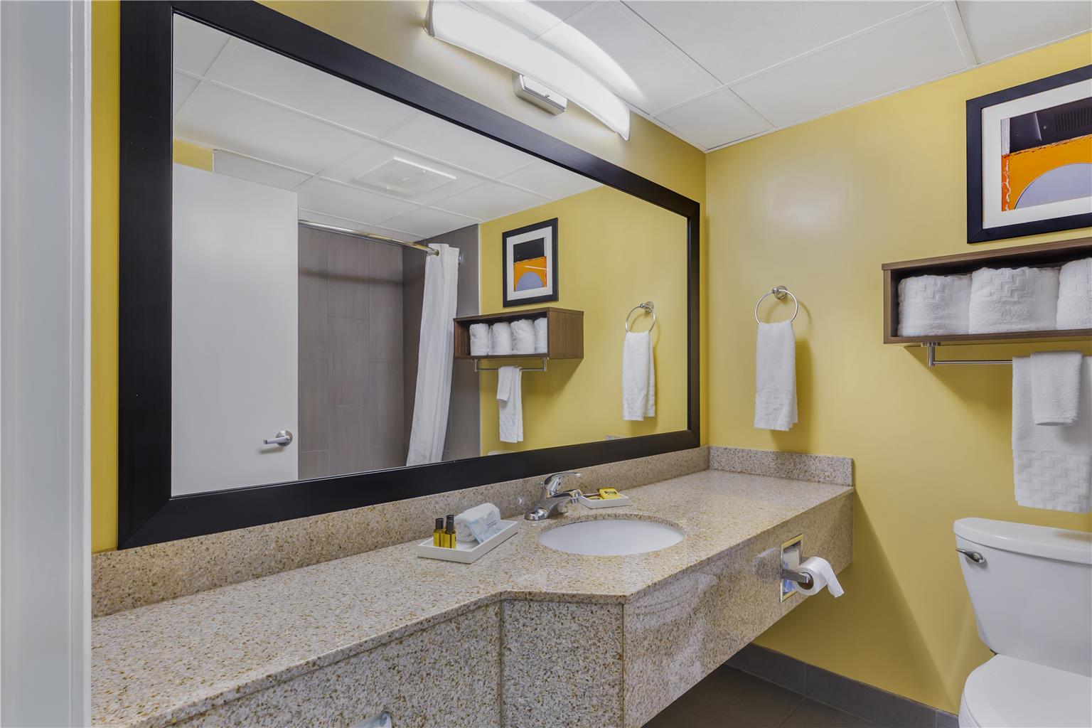Best Western Plus Suites-Greenville Image