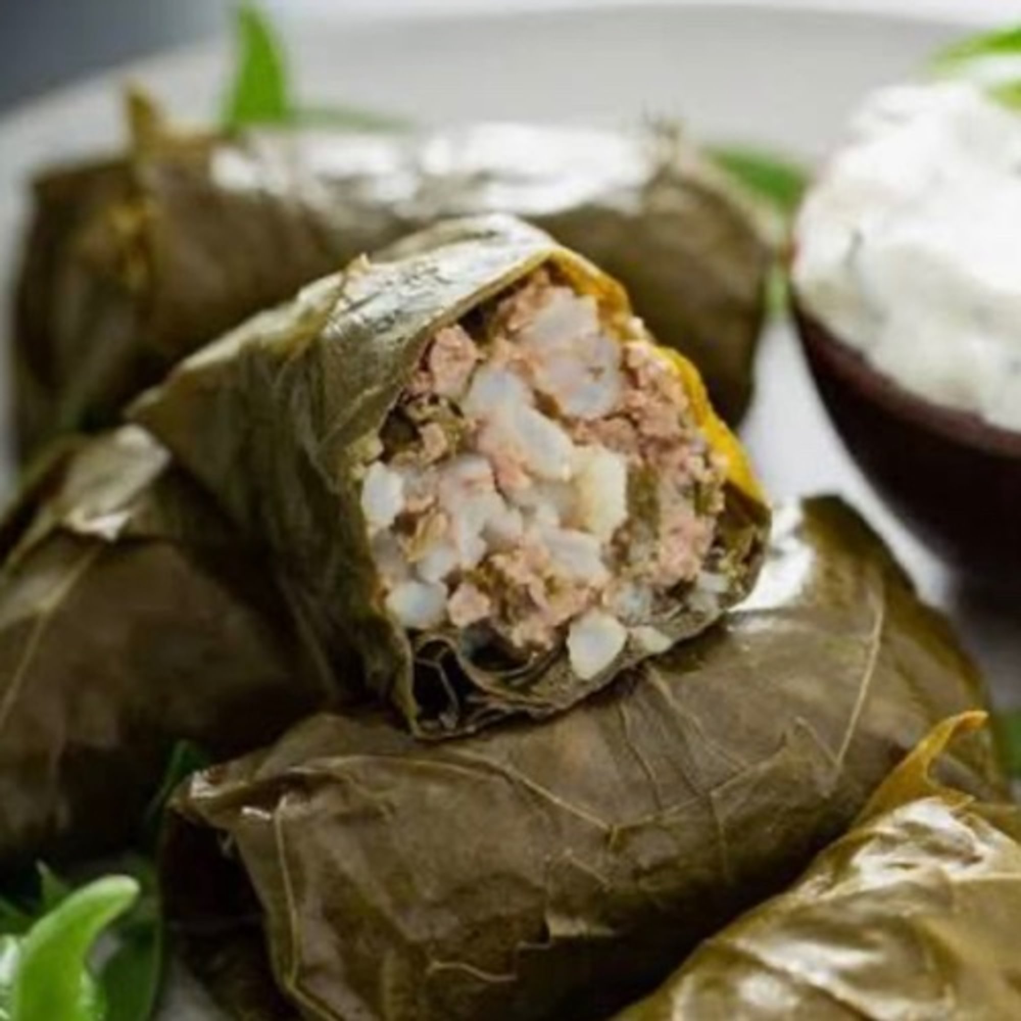 STUFFED GRAPE LEAVES APPETIZER (6)