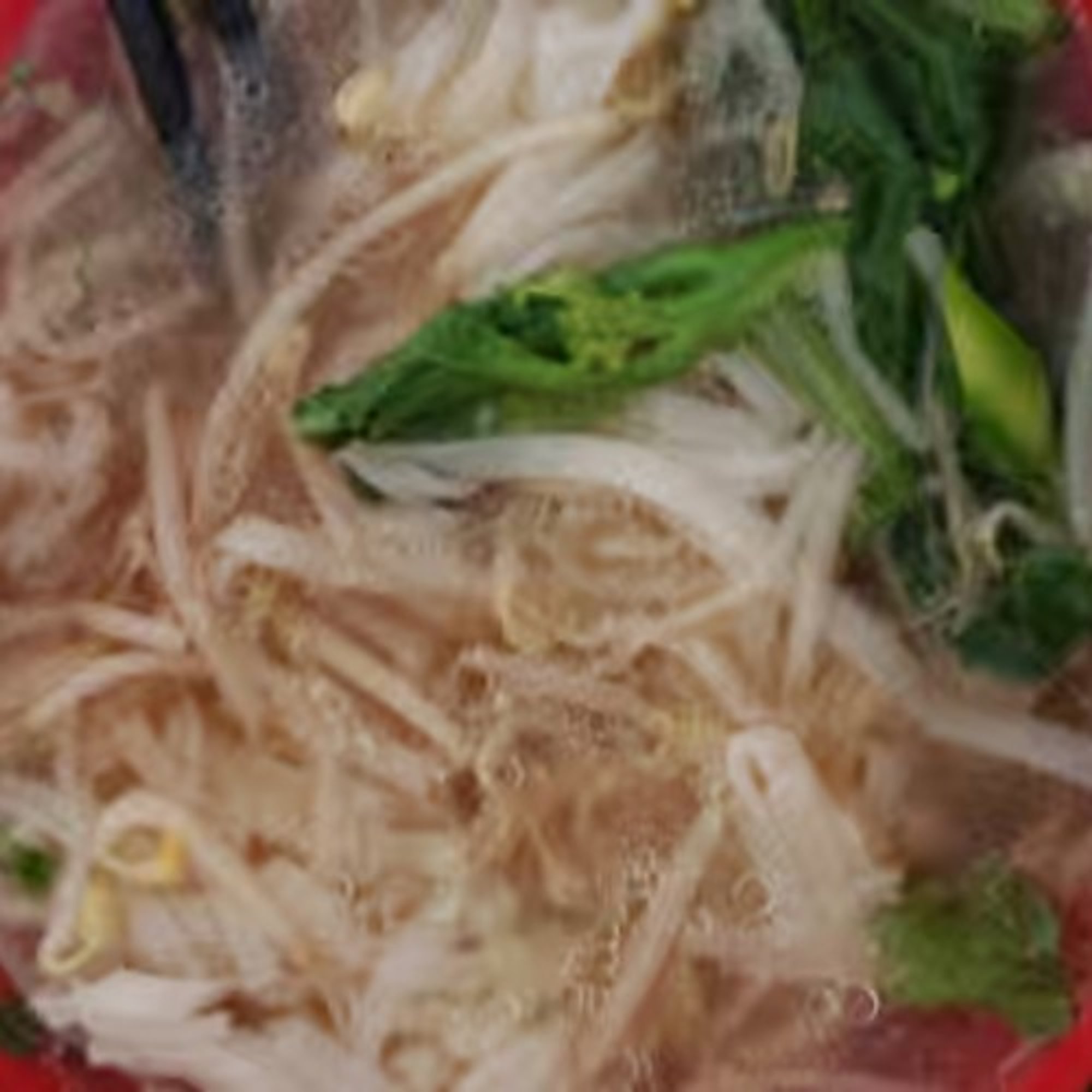 Duck Noodle Soup