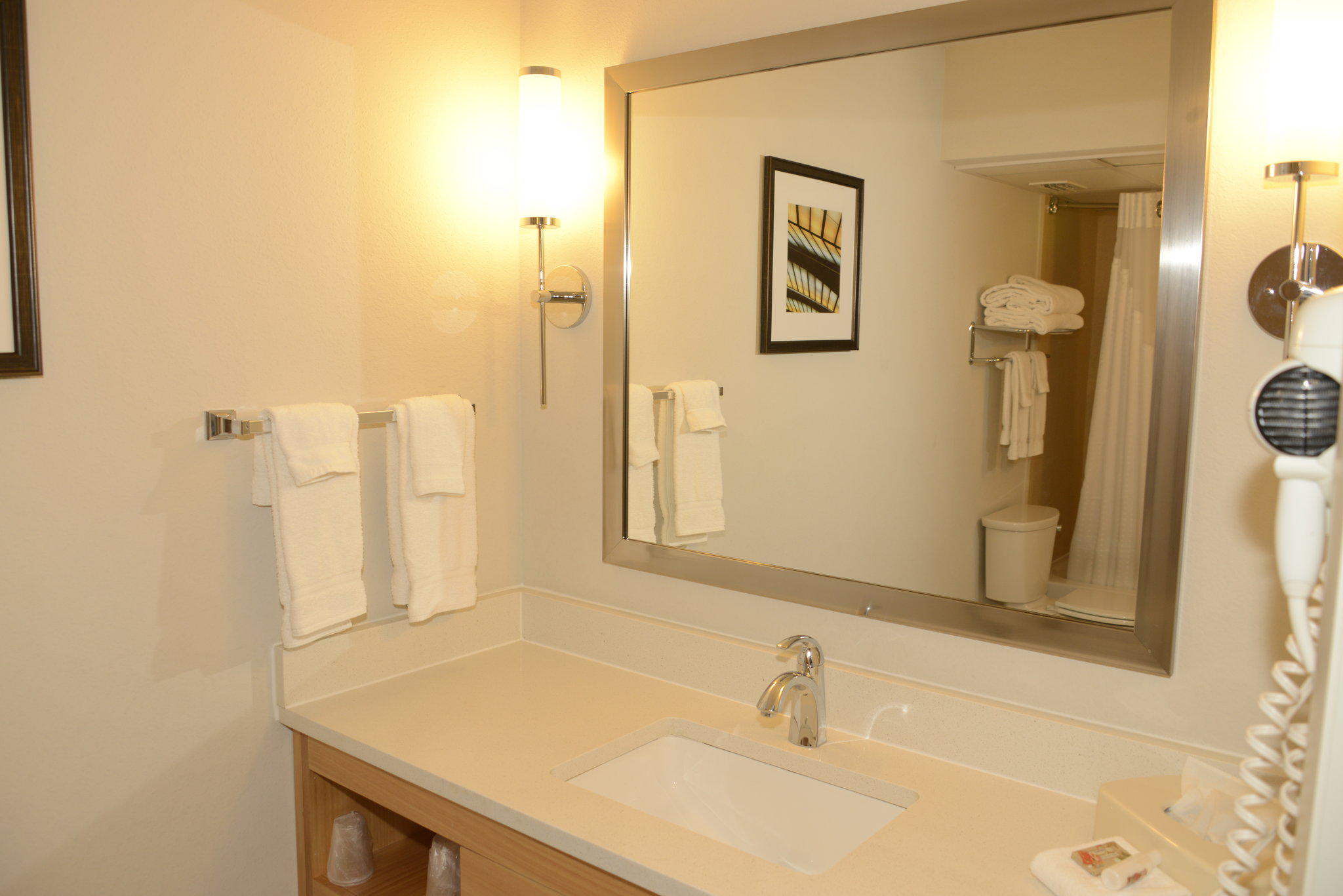 Holiday Inn & Suites Tampa N - Busch Gardens Area Photo