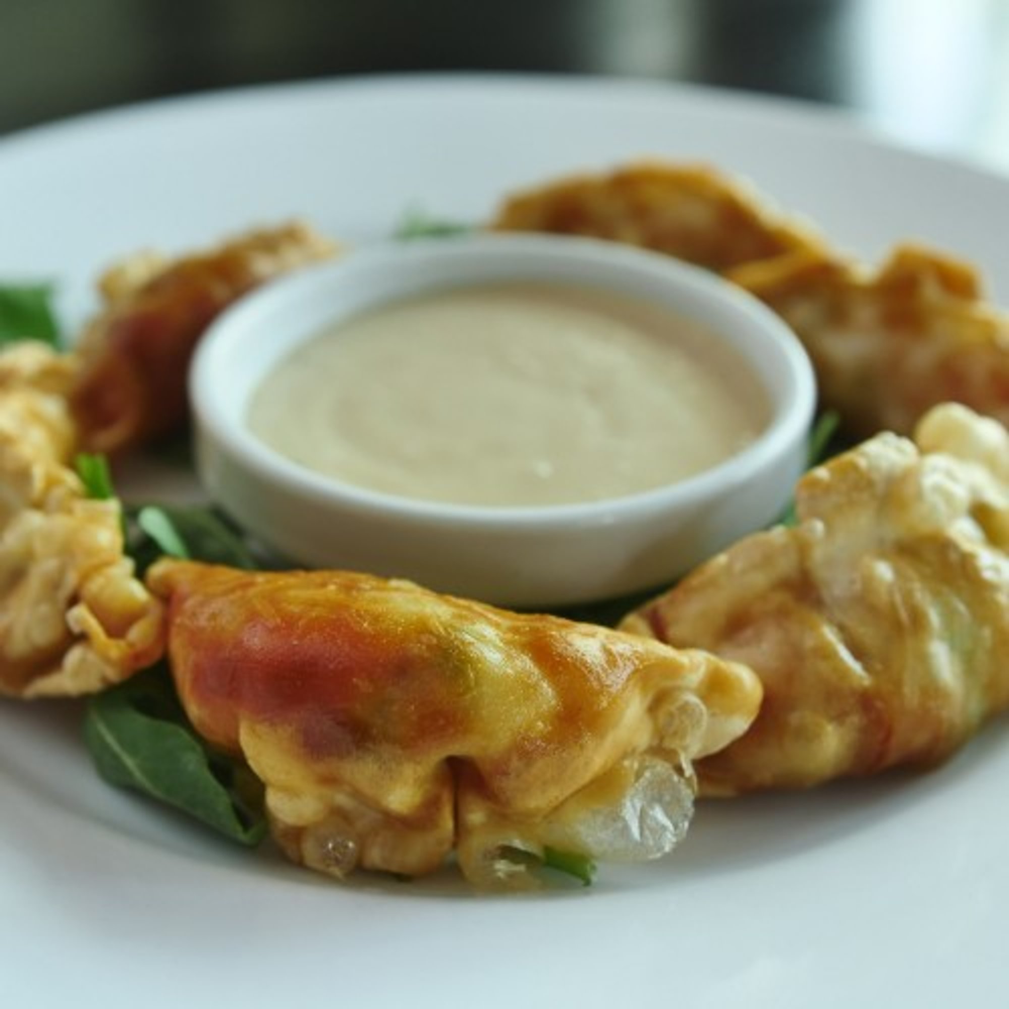 Shrimp Wontons