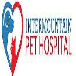 Intermountain Pet Hospital Photo