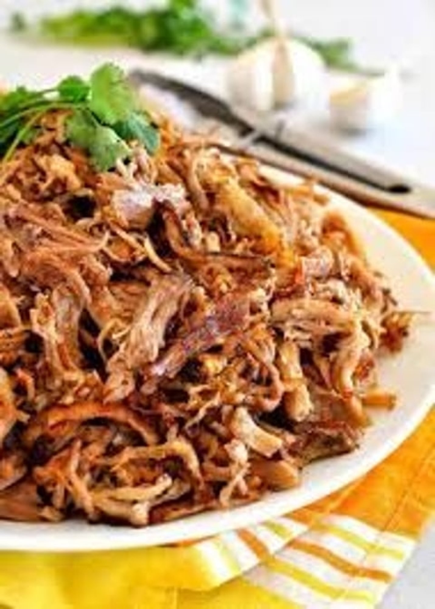 Extra Carnitas