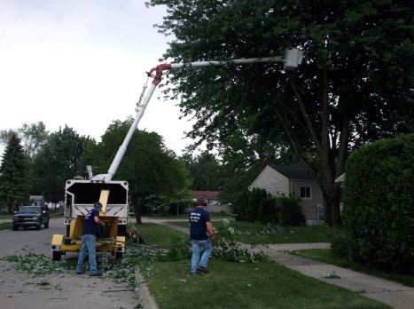Timber Pros Tree Service Logo