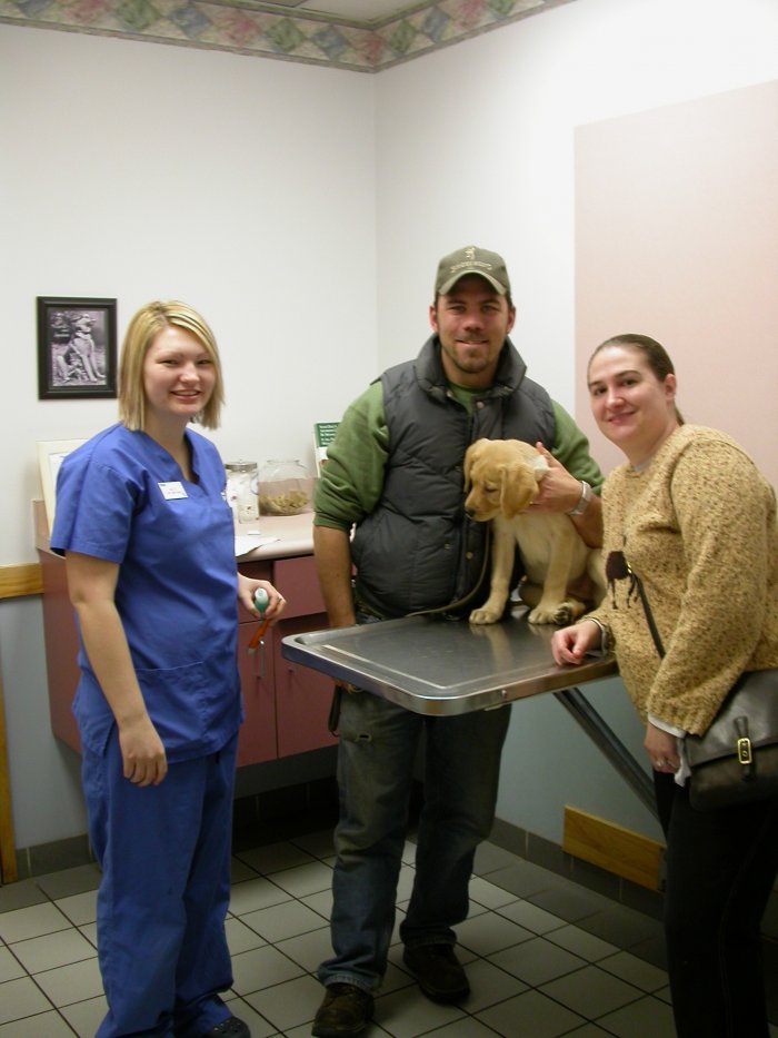 VCA All About Pets Animal Hospital Photo