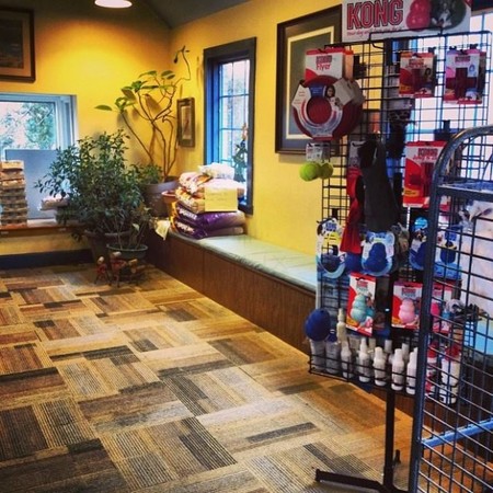 highland veterinary clinic pet supplies in evansville highland veterinary clinic pet supplies in evansville