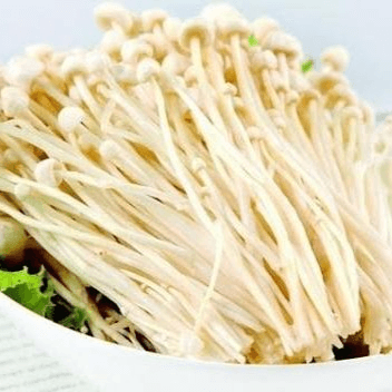 Inoki Mushroom 金针菇