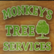 Monkey's Tree Service Photo